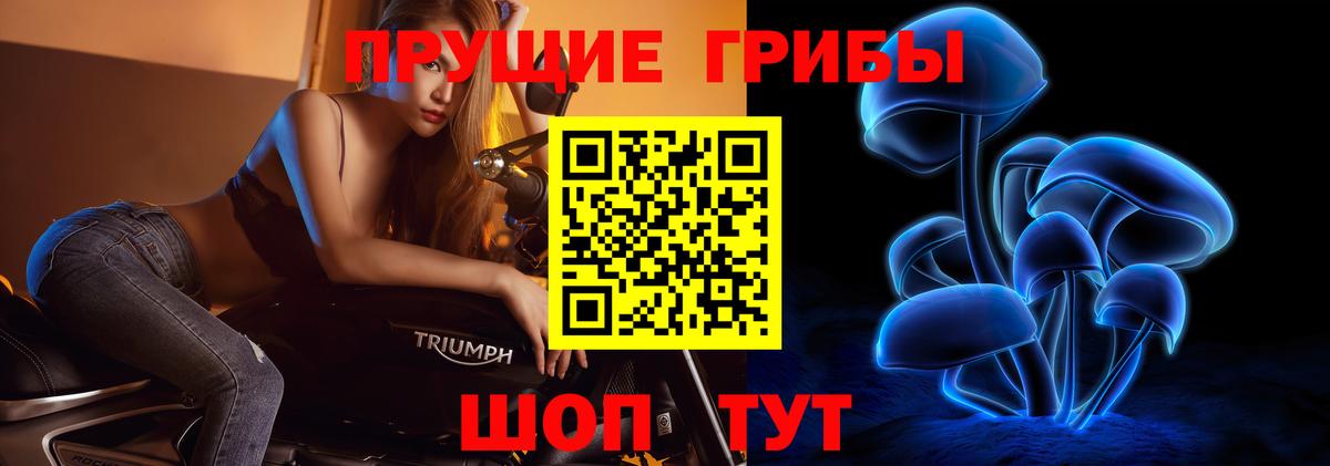 Губаха  Галлюциногенные грибы прущие грибы  Псилоцибиновые грибы Magic Shrooms  Вход с VPN 